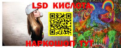 твердый Бердск